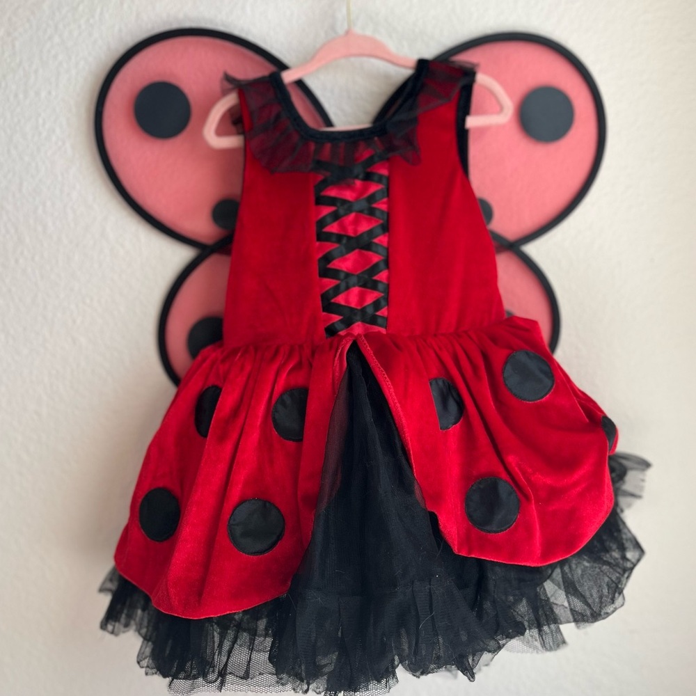 Lady bug costume 5t